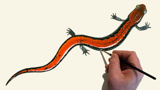 Online Art Course: How to Paint a Salamander