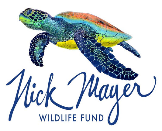 Custom Amount Tax Deductible Donation