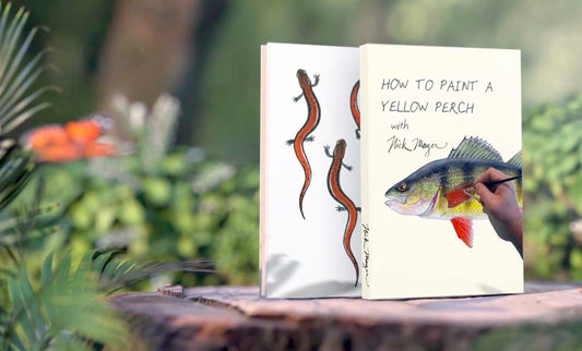 Online Art Course: How to Paint a Yellow Perch Fish